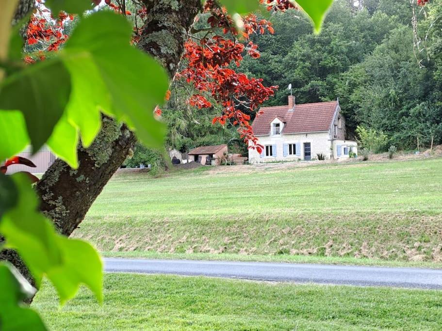 Superbe 4-8 Pers A 15 Mn Zoo Beauval * Faverolles (Indre)